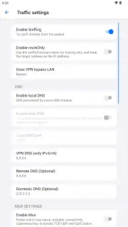 v2RayTun Screenshot 12