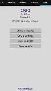 CPU-Z Screenshot 10