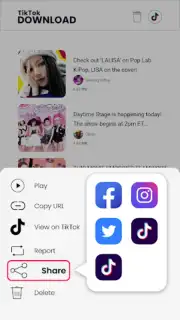 Downloader for TikTok Screenshot 3