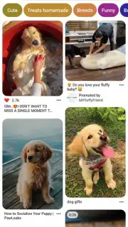Pinterest Screenshot 3