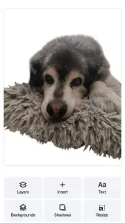 PhotoRoom Screenshot 6