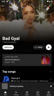 YouTube Music Screenshot 1