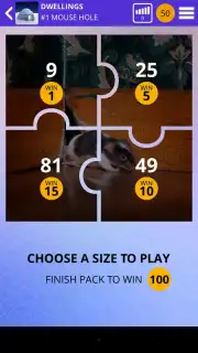 100 PICS Puzzles Screenshot 5