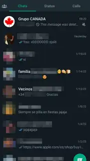 WhatsApp Messenger Screenshot 5