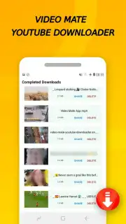 Vidora YouTube Downloader | free & fast Screenshot 12