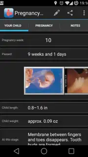 Pregnancy Assistant Screenshot 3
