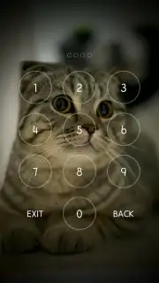 Secret Notes2 Screenshot 6