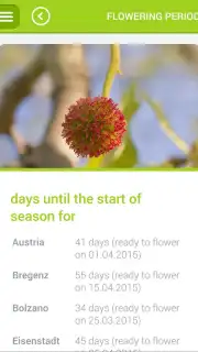 Pollen Screenshot 3
