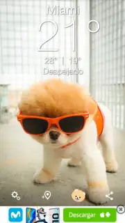 Boo Weather Screenshot 3