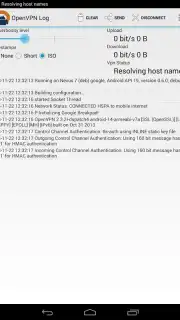 OpenVPN Screenshot 8