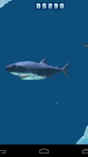 Hungry Shark Free! Screenshot 4