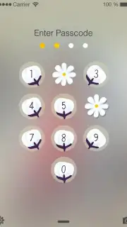 PIP Lock Screen Screenshot 23