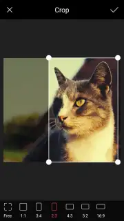 POMELO Camera Screenshot 8