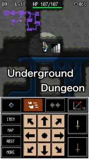Rogue Hero Screenshot 10
