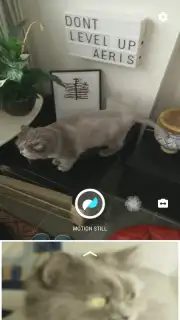 Motion Stills Screenshot 1