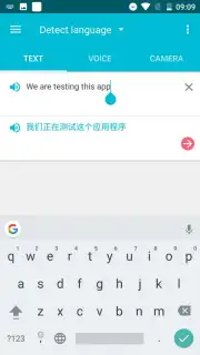 Youdao Translate Screenshot 8
