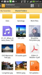 DS file Screenshot 4