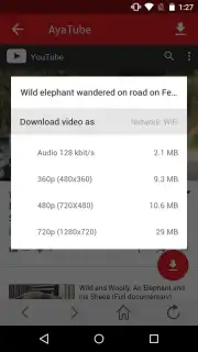 AyaTube Video Downloader Screenshot 4