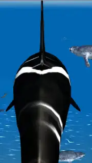 Orca Simulator Screenshot 4