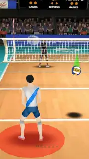 Volleyball 3D Screenshot 5