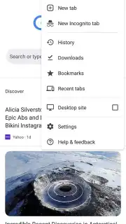 Google Chrome Screenshot 8