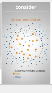 SPARKvue Screenshot 8