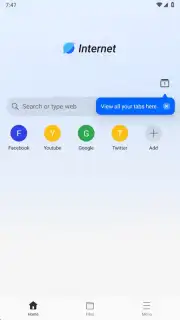 Internet Browser Screenshot 1