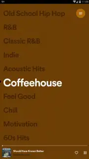Spotify Stations Screenshot 11