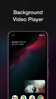 Revanced Screenshot 4