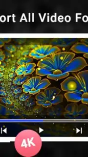 Blueray Video Player Screenshot 4