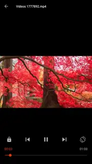 Video Player Screenshot 5