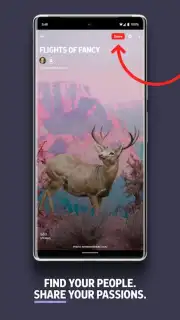 Flipboard Screenshot 5