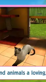 PetWorld: Animal Shelter Screenshot 4