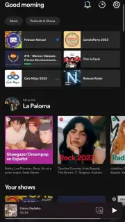 Spotify Screenshot 13