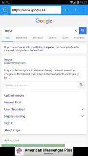 Ding Browser Screenshot 2