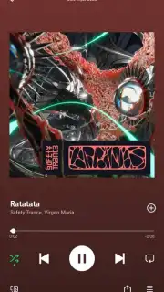 Spotify Screenshot 7