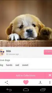 We Heart It Screenshot 3