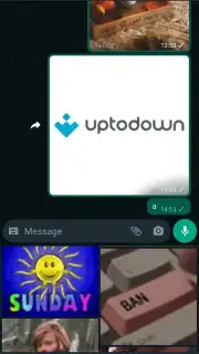 WhatsApp Messenger Screenshot 8