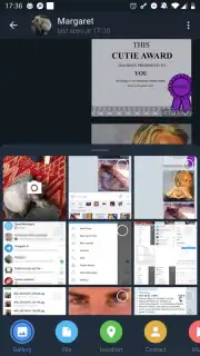ForkGram Screenshot 2