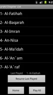 Quran MP3 With Indonesian Screenshot 3