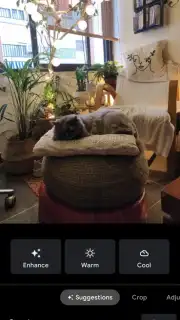 Google Photos Screenshot 2