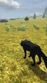 Wild Life: Wolf Clan Screenshot 3