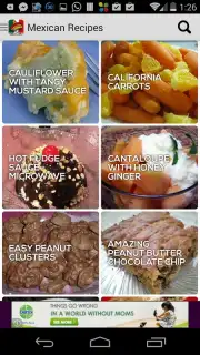 Mexican Recipes Screenshot 3