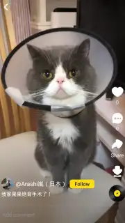 Snack Video Screenshot 3