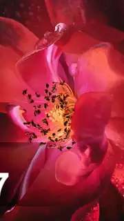 Oppo F7 Launcher - Themes and Wallpapers Screenshot 2