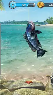 Fishing Clash Screenshot 16
