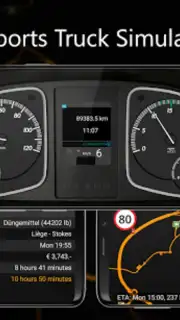 SIM Dashboard Screenshot 11