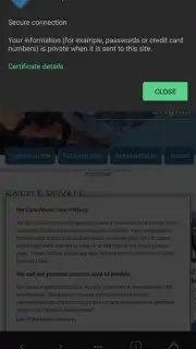 AVG Browser Screenshot 5