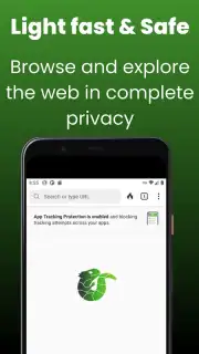 Midori Browser Screenshot 2