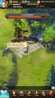 Knights of Fantasy Screenshot 1